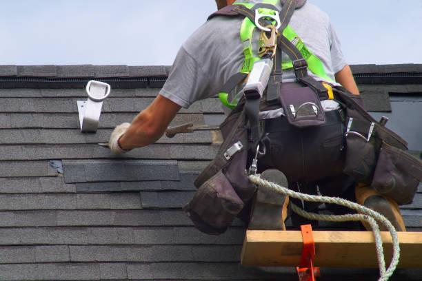 Best Roof Leak Repair  in Ford Heights, IL