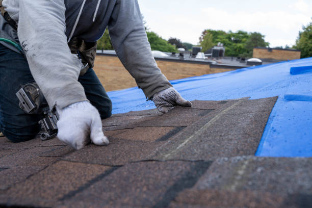 Best Rubber Roofing (EPDM, TPO)  in Ford Heights, IL