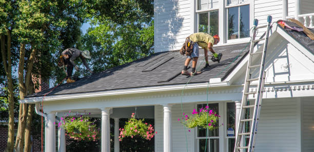 Best Metal Roofing Installation  in Ford Heights, IL